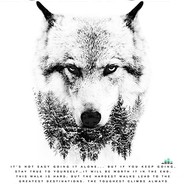 Lone_Wolf_3