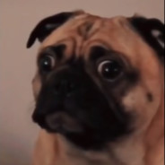 ClutcHDoge