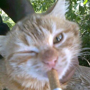 Kitasl