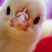 Steam profile picture for @cocktails