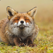 Mr.Fox_^.^