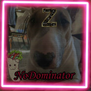 NoDominator