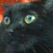 Jcat1024