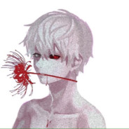 swt/