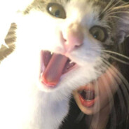 мяу