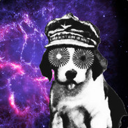 budog