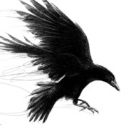 crowo