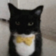 poopert