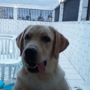R.O.T.A Capitão Jogui