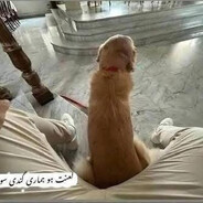 Phalo Moo