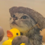 cowboy