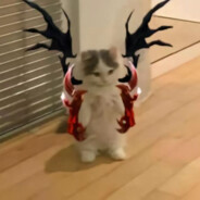 kfckfcfkcukfufs