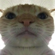 hpip