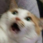 Kss