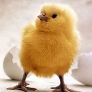 Цыпа♥