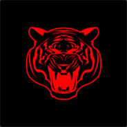 RedTiger24