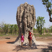 Tunera Difussa