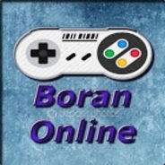 team fortees 2 (boran online)