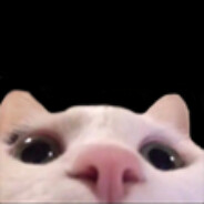 jenipsi