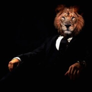Kingofthe_Jungle