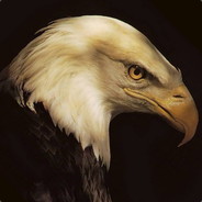 Eaglex01