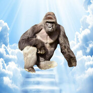 Optimus Primal