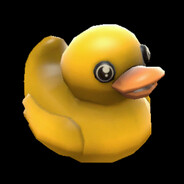 o_0~*Quack*~0_o