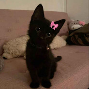 ★𝓚𝓲𝓼𝓾𝙈𝙞𝙨