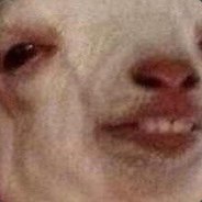 VirsPapirs