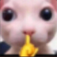 ALADIM DO PNEU