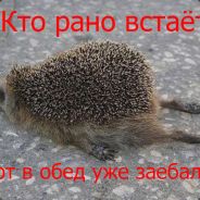 3к поряды enjoyer