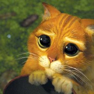 Kater