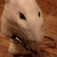 RatWitaTooly