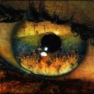 Partridge_Eye