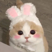 lulu