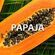 PAPAJA