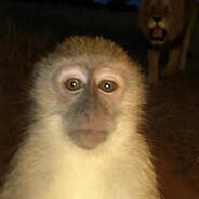 monky
