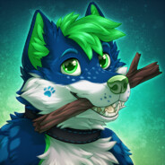 AceTheHusky