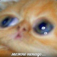 привет я клей