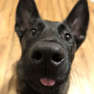 RICO