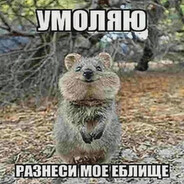 Граф мактрахула