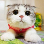 Я милота