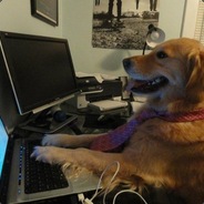 a dog