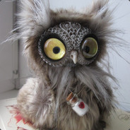 Owl_5_pos