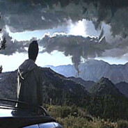 professional