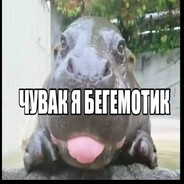vovcheek11