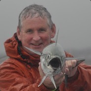 Tom Torpedo