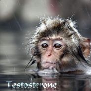 Steam profile picture for @testosterone