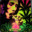 Group Avatar