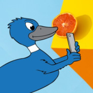 BlueDuck